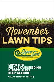 November 2019 Lawn Tips Pergola Pictures Fall Lawn Care Lawn