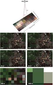 Pilote de laseret 2540 / pilote hp color laserjet. Deciphering The Many Maps Of The Xingu An Assessment Of Land Cover Classifications At Multiple Scales Biorxiv