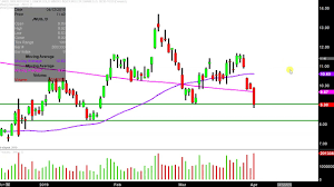 Direxion Daily Junior Gold Miners Index Bull 3x Shares