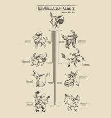 eeveelution chart tshirt pix video game heaven pokemon