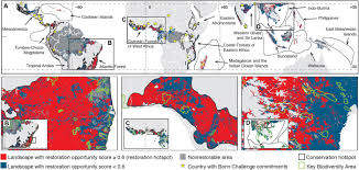 We work in four tropical forest ecosystems that are critical for biodiversity conservation and climate change mitigation. Global Restoration Opportunities In Tropical Rainforest Landscapes Science Advances