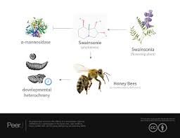 Pin On Peerj Graphical Abstracts