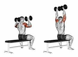 Bend down with your knees to pick up the dumbbells. Exercise Database Shoulders4 Seated Dumbbell Shoulder Press Jase Stuart The Better Body Coach
