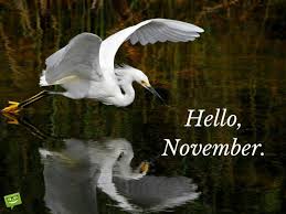 November Bird Of The Month Hello November Season Quotes Hello November November