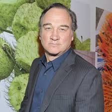 He is john belushi's younger brother. Jim Belushi Spouse Movies Brother Biography