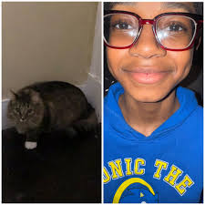 New Kitty Adoption and Naming