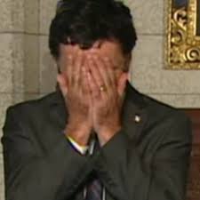 Image result for double facepalm