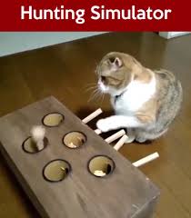 Hunting Simulator This Is How You Keep Your Cat Occupied Cat For Warranty Information About This Product Please Video Interactive Cat Toys Cat Toys Cat Exercise