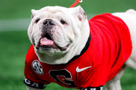 Why Is Georgia Known As the Bulldogs? A Look at UGA's Mascot History -  Newsweek
