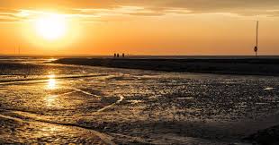 Wattenmeer soll weltnaturerbe werden das land. Wattenmeer Nordsee Niedersachsen Urlaub Am Weltnaturerbe