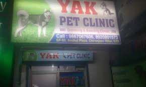 Ltd., draft an advertisement for senior secondary students aspiring for a career in business management/information technology. All Veterinary Clinic In In Ghaziabad Delhi India Page 4 Of 9 Vets Near Me