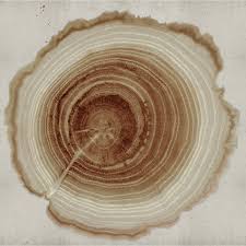 Explore more searches like tree of life wallpaper. Wall Deco Tree Of Life Wallpaper Tattahome