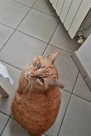 Jonathan Guerrini (@jonathan.guerrini) • Threads, Say more