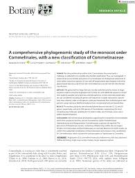 Image result for Anthericopsis sepalosa