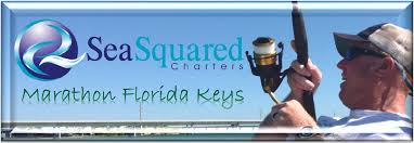Fishing Seasons Calendar Florida Keys Seasquared Charters