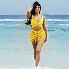 Jacqueline Fernandez Biography Height Weight Age Breast Size And Body Measurements Blogging Heros height weight age breast size and