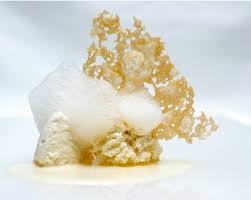 Maybe you would like to learn more about one of these? Chris Walks Massimo Bottura