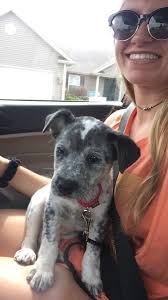 Natalie Crane (@nataliemcrane)