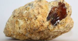 The solid chunk has a foul smell at first but after the mucilage siriporn is now waiting for experts to visit her house to confirm that the lump is genuine ambergris, the rare ingredient used in the perfume industry. Ambergris How Rare Whale Vomit Ended Up In Your Perfume