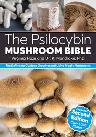 Image result for Psilocybin