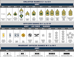 Us Military Rank Chart Wiki Best Picture Of Chart Anyimage Org