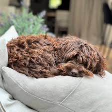 Emma McClenaghan (@frog117)