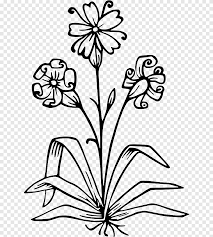 We did not find results for: Sque New Guinea Graphy Line Art Flower Label Leaf Branch Png Pngegg
