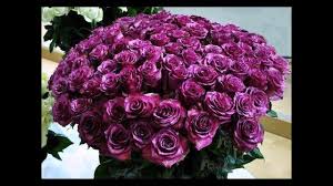 Sincere urări de bine cu ocazia zilei tale de naștere. Felicitare Zile De Nastere By Mesaje Si Felicitari