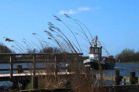 Basisschool bedrijf basisschool de kwakel uit berkel en rodenrijs. Veerpont De Kwakel Vaart Weer De Midden Delfland Vereniging Facebook