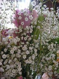 Pin On Garden Landscape