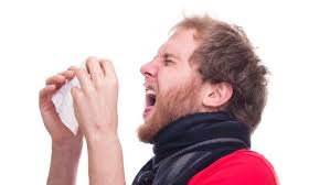 Curiositats que potser no sabies