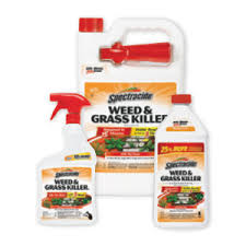 Ortho groundclear vegetation killer concentrate. Spectrcide Great Lakes Ace Hardware Store