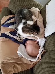 Eye rubbing, yawning and some fussiness are all classic signs your baby is ready for bed. Baby Was Crying While I Was In The Bathroom But Suddenly Stopped I Came Out To Find This Animalsbeingbros