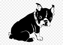 Cute funny holiday book for men women who love dogs and puppies. Boston Pup Clear Dibujos De Perros Bulldog Frances Dog Coloring Pages Boston Terrier Hd Png Download 800x566 3682109 Pngfind
