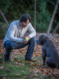 Chapter 3 looks like it's going to have a little more bite now that more set photos have appeared. Keanuital Sur Twitter 13 Things We Want In John Wick 3 Don T Kill That F Ing Dog The Second Dog Stayed Safe Through John Wick 2 Even After Wick S House Got Blown