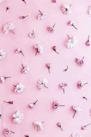 Unduh 62 Wallpaper Wa Pink Paling Keren Terbaru Wajib Tahu Wallpaper tema vintage untuk android. unduh 62 wallpaper wa pink paling keren