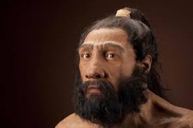 Sfoglia 3.303 uomo di neanderthal fotografie stock e immagini disponibili, oppure cerca uomo preistorico o uomo delle caverne per trovare altre splendide fotografie stock e immagini. Com E Scomparso L Uomo Di Neanderthal Indizi In Denti Da Latte Dire It