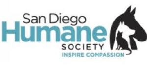 Maybe you would like to learn more about one of these? Mountain Lion Cub Responding To Treatment At Wildlife Center In Ramona Times Of San Diego