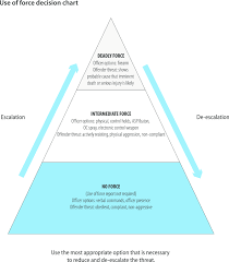 ppd use of force decision chart in directive 10 download