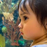 Abel Rivera Obituary (2022