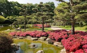 Von granitbrücken, über japanische brunnen bis hin zu. Japanischer Garten Dusseldorf Eintritt Auf Einem Budget Von Japanischer Garten Landeshauptstadt Dusseldorf In Bezug Auf Japanischer Garden Golf Courses Field