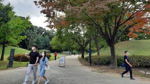 Korea selatan kini menjadi salah satu destinasi wisata tujuan wisatawan asal indonesia. Acehkini Jalan Jalan Taman Taman Cantik Di Olimpic Park Seoul Korea Selatan Kumparan Com