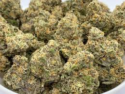 Check spelling or type a new query. Strawbedelnasletrawberry