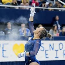 Pin By Bill Conkling On College Gym Gymnastics Pictures Gymnastics Gym
