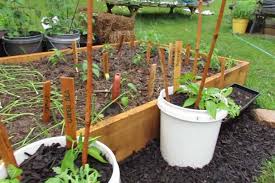 There are now 4 gallons of water in the 5 gallon bucket. 5 Gal Bucket The Top Available Today For Urban Gardening