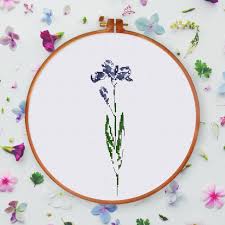 Check spelling or type a new query. Iris Flower