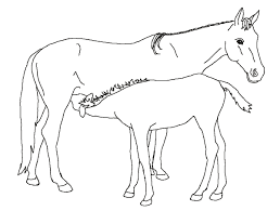 أحصنة للتلوين رسومات اطفال للتلوين حصان بالابيض والاسود 13802211343 gif horse coloring pages baby coloring pages horse coloring books