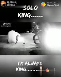 I am single video status download share chat kannada. 100 Best Images Videos 2021 I Am Single Whatsapp Group Facebook Group Telegram Group