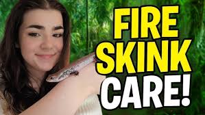 Working As A Wildlife Educator & Rehabilitator With Emma Lynne Sampson