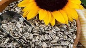 Simpan pada suhu ruangan, hindarkan dari sinar matahari langsung. Cari Makanan Yang Mengandung Vitamin E Ini Jawabannya